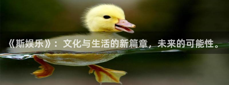 蓝狮在线邀请码怎么获得