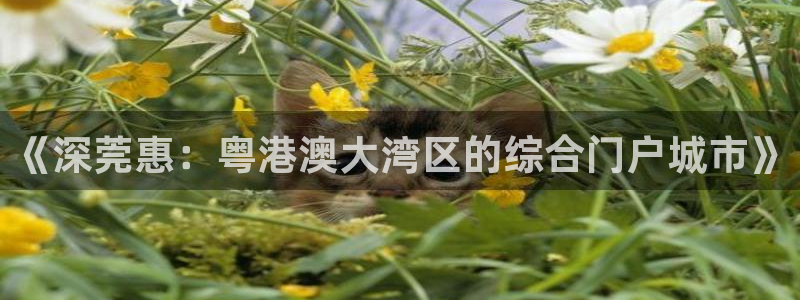 蓝狮在线注册开户