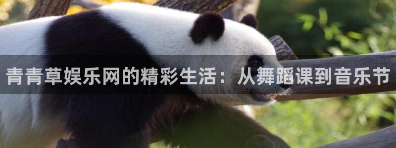 蓝狮在线游戏怎么注册