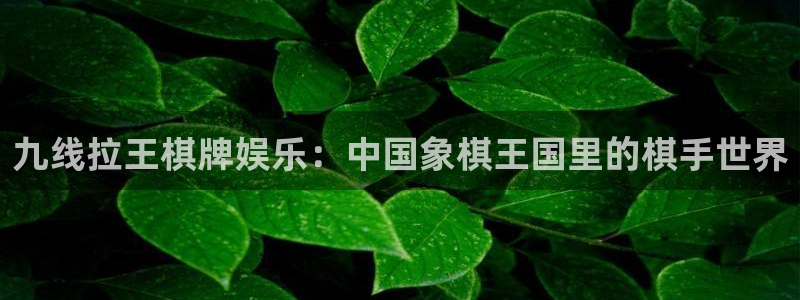 蓝狮在线注册平台官网